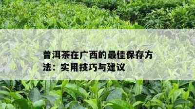 普洱茶在广西的更佳保存方法：实用技巧与建议