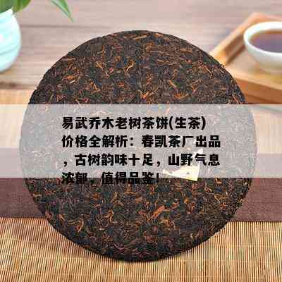 易武乔木老树茶饼(生茶)价格全解析：春凯茶厂出品，古树韵味十足，山野气息浓郁，值得品鉴！