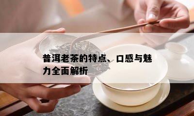 普洱老茶的特点、口感与魅力全面解析