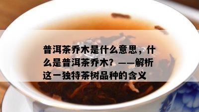 普洱茶乔木是什么意思，什么是普洱茶乔木？——解析这一独特茶树品种的含义