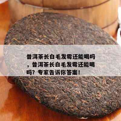 普洱茶长白毛发霉还能喝吗，普洱茶长白毛发霉还能喝吗？专家告诉你答案！