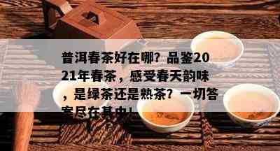 普洱春茶好在哪？品鉴2021年春茶，感受春天韵味，是绿茶还是熟茶？一切答案尽在其中！