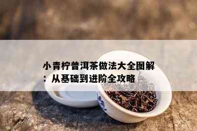 小青柠普洱茶做法大全图解：从基础到进阶全攻略