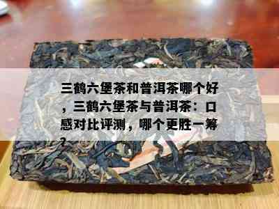 三鹤六堡茶和普洱茶哪个好，三鹤六堡茶与普洱茶：口感对比评测，哪个更胜一筹？