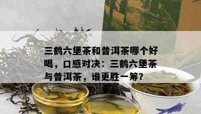 三鹤六堡茶和普洱茶哪个好喝，口感对决：三鹤六堡茶与普洱茶，谁更胜一筹？