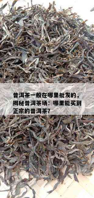 普洱茶一般在哪里批发的，揭秘普洱茶场：哪里能买到正宗的普洱茶？