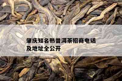 肇庆知名熟普洱茶招商电话及地址全公开