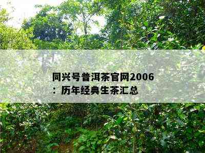 同兴号普洱茶官网2006：历年经典生茶汇总