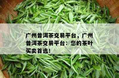 广州普洱茶交易平台，广州普洱茶交易平台：您的茶叶买卖首选！