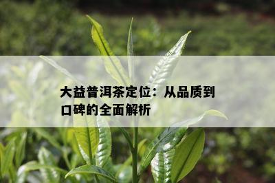 大益普洱茶定位：从品质到口碑的全面解析