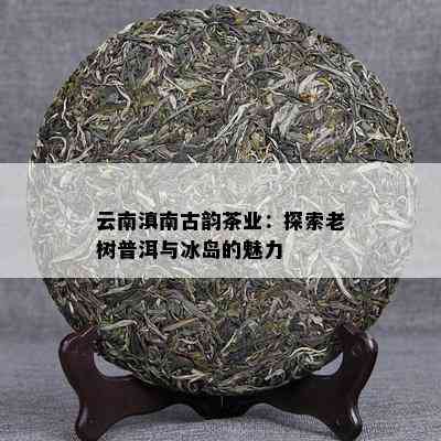 云南滇南古韵茶业：探索老树普洱与冰岛的魅力