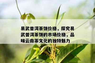 易武普洱茶饼价格，探究易武普洱茶饼的市场价格，品味云南茶文化的独特魅力