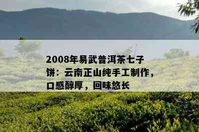 2008年易武普洱茶七子饼：云南正山纯手工制作，口感醇厚，回味悠长