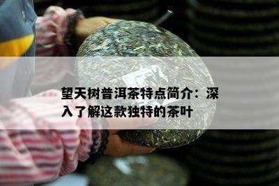 望天树普洱茶特点简介：深入了解这款独特的茶叶