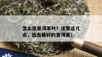 怎么选普洱茶叶？注意这几点，选出更好的普洱茶！