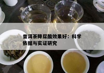 普洱茶降尿酸效果好：科学依据与实证研究