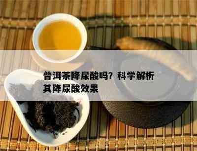 普洱茶降尿酸吗？科学解析其降尿酸效果