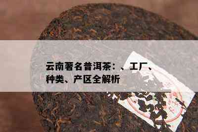 云南著名普洱茶：、工厂、种类、产区全解析