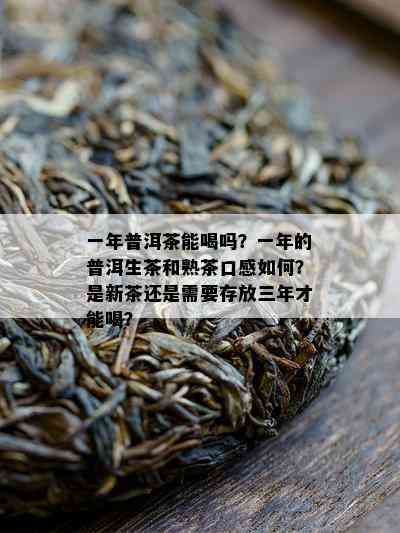 一年普洱茶能喝吗？一年的普洱生茶和熟茶口感如何？是新茶还是需要存放三年才能喝？