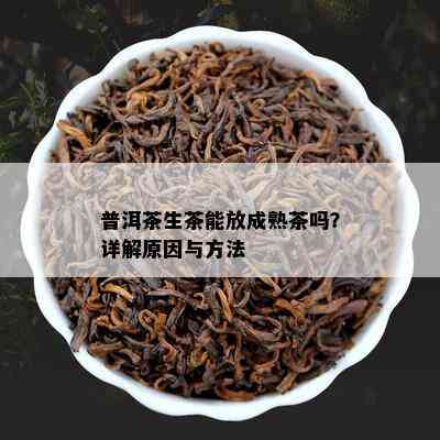 普洱茶生茶能放成熟茶吗？详解原因与方法