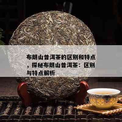 布朗山普洱茶的区别和特点，探秘布朗山普洱茶：区别与特点解析