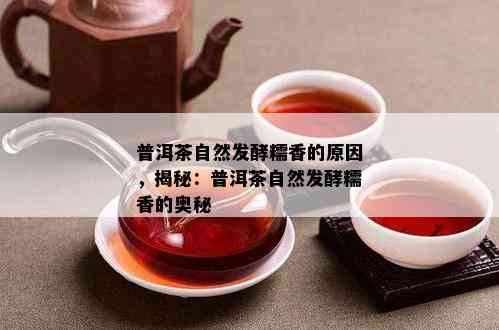 普洱茶自然发酵糯香的原因，揭秘：普洱茶自然发酵糯香的奥秘