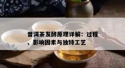 普洱茶发酵原理详解：过程、影响因素与独特工艺