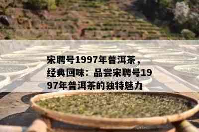 宋聘号1997年普洱茶，经典回味：品尝宋聘号1997年普洱茶的独特魅力