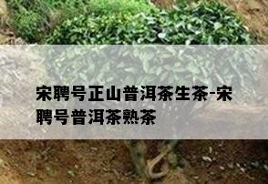 宋聘号正山普洱茶生茶-宋聘号普洱茶熟茶