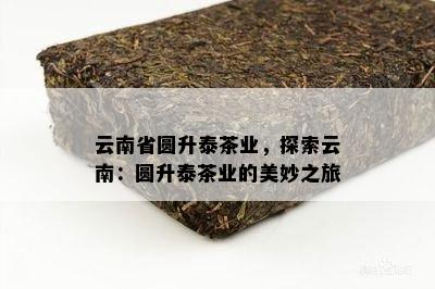 云南省圆升泰茶业，探索云南：圆升泰茶业的美妙之旅