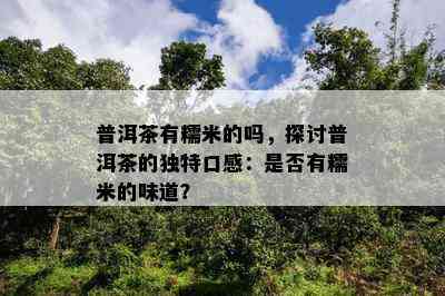 普洱茶有糯米的吗，探讨普洱茶的独特口感：是否有糯米的味道？