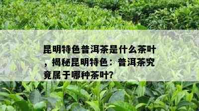 昆明特色普洱茶是什么茶叶，揭秘昆明特色：普洱茶究竟属于哪种茶叶？