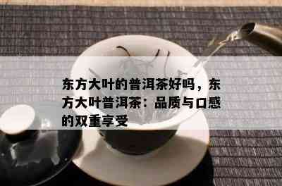 东方大叶的普洱茶好吗，东方大叶普洱茶：品质与口感的双重享受