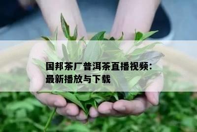 国邦茶厂普洱茶直播视频：最新播放与下载