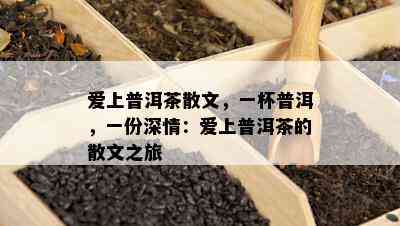 爱上普洱茶散文，一杯普洱，一份深情：爱上普洱茶的散文之旅