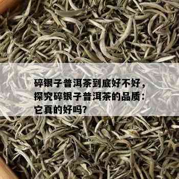 碎银子普洱茶到底好不好，探究碎银子普洱茶的品质：它真的好吗？