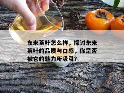 东来茶叶怎么样，探讨东来茶叶的品质与口感，你是否被它的魅力所吸引？