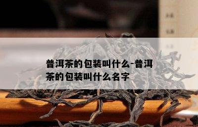 普洱茶的包装叫什么-普洱茶的包装叫什么名字