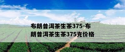 布朗普洱茶生茶375-布朗普洱茶生茶375克价格