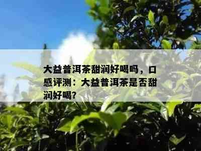 大益普洱茶甜润好喝吗，口感评测：大益普洱茶是否甜润好喝？