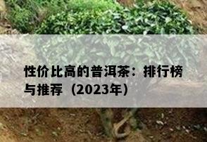 性价比高的普洱茶：排行榜与推荐（2023年）