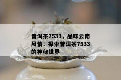 普洱茶7533，品味云南风情：探索普洱茶7533的神秘世界