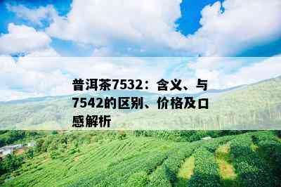 普洱茶7532：含义、与7542的区别、价格及口感解析