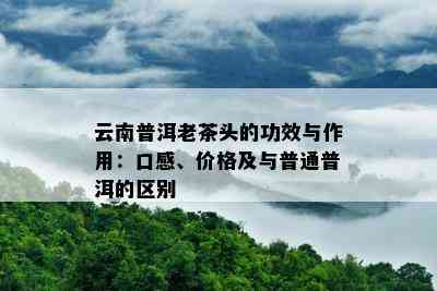 云南普洱老茶头的功效与作用：口感、价格及与普通普洱的区别