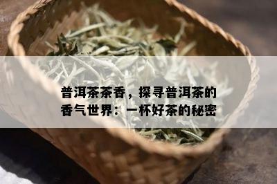 普洱茶茶香，探寻普洱茶的香气世界：一杯好茶的秘密