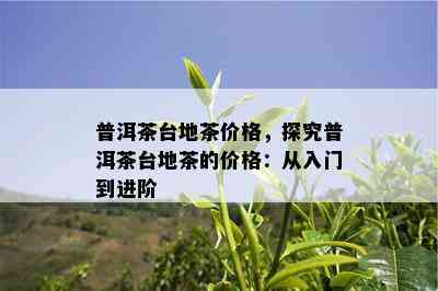 普洱茶台地茶价格，探究普洱茶台地茶的价格：从入门到进阶