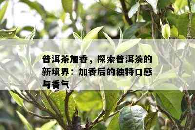 普洱茶加香，探索普洱茶的新境界：加香后的独特口感与香气