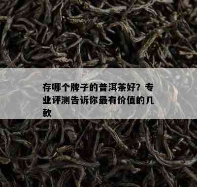 存哪个牌子的普洱茶好？专业评测告诉你最有价值的几款