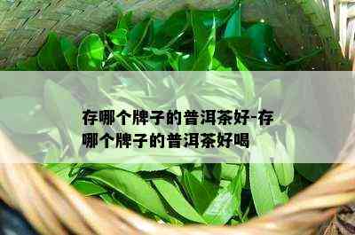 存哪个牌子的普洱茶好-存哪个牌子的普洱茶好喝