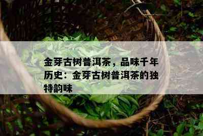 金芽古树普洱茶，品味千年历史：金芽古树普洱茶的独特韵味